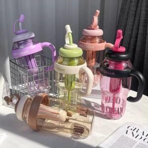 Dishtrend Ice Cream Insulated Transparent Bottle Tumbler